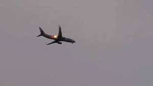 Photo of आसमान में उड़ रहे विमान में लगी आग, रोंगटे खड़े कर देगा ये वायरल वीडियो