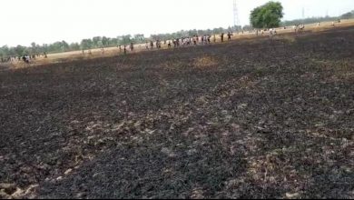 Photo of Sultanpur News: खेत में भीषण आग लगने से गेहूं की फसल जलकर राख