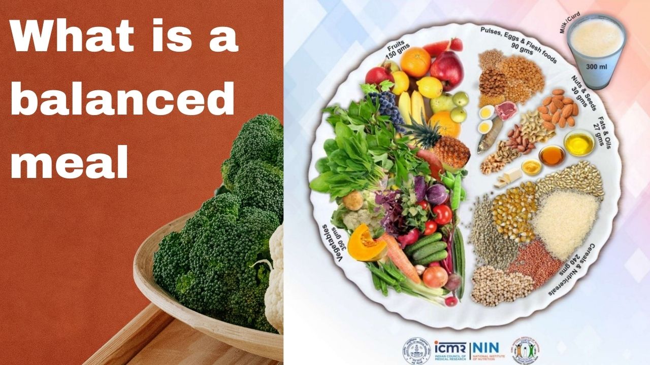 What is a balanced meal