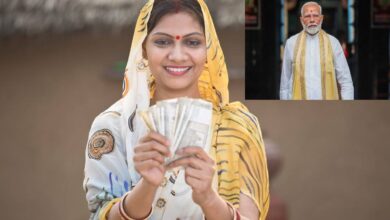 Mukhyamantri Mahila Rojgar Yojana status
