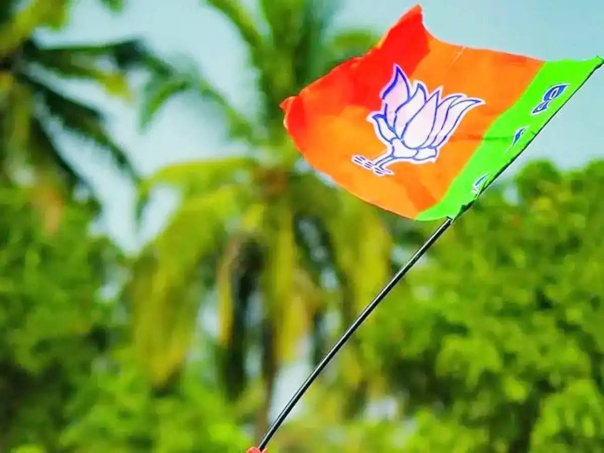 भाजपा जिलाध्यक्ष