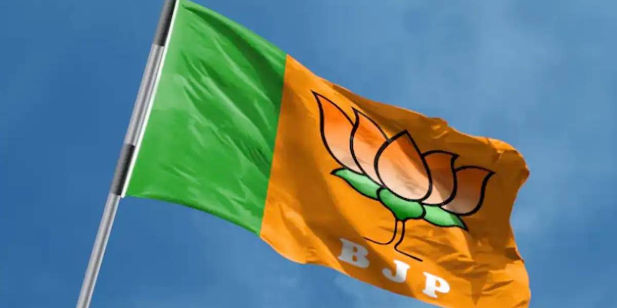 बीटीसी चुनाव