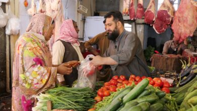 Pakistan tomato price