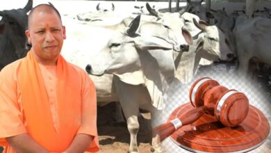 Gau Hatya Kanoon
