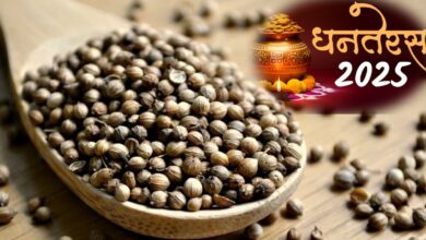 Dhan teras 2025 Naivedya