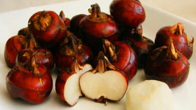 side effects of water chestnut