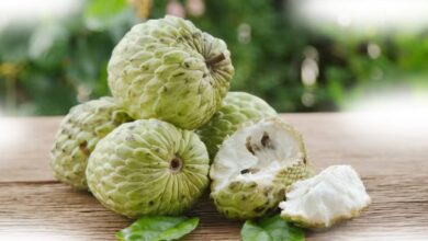 Custard Apple Side Effects