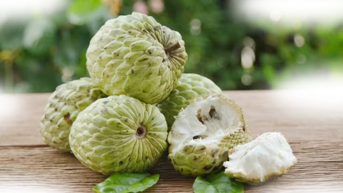 Custard Apple Side Effects