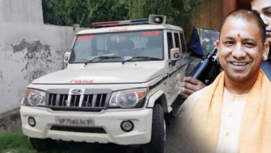 yogi police action