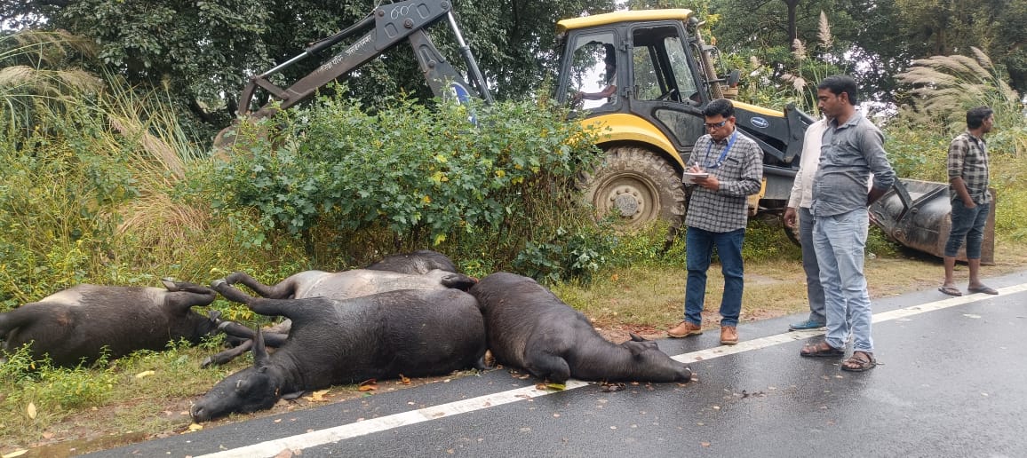 कचौरा घाट बाईपास मार्ग