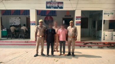 पटाखा विवाद