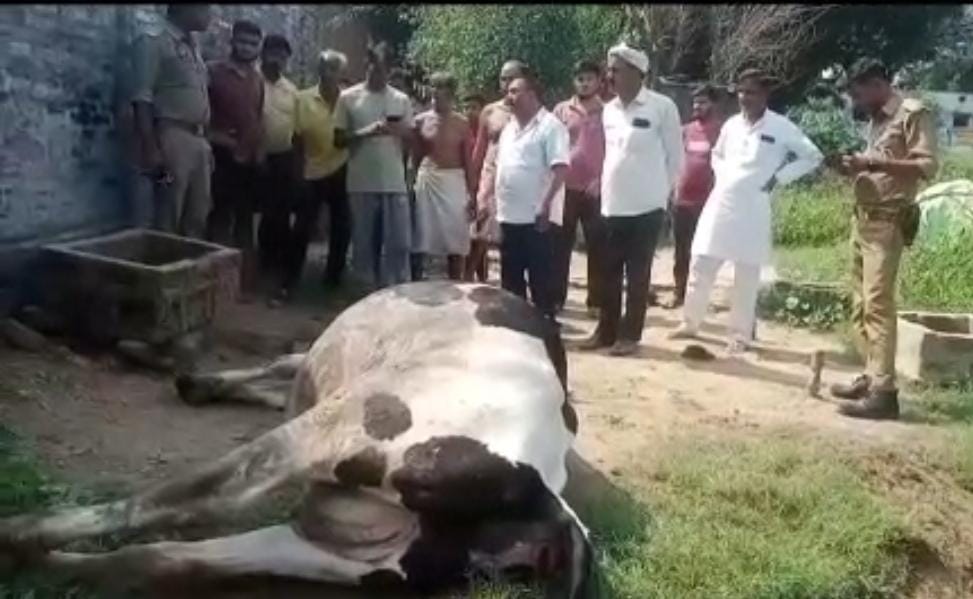 पशुपालक