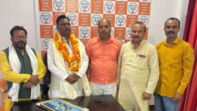 सरदार वल्लभभाई पटेल