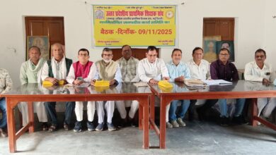 2011 के पूर्व