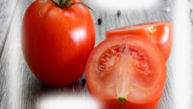 benifit of tomato