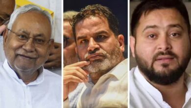 Bihar Election Survey 2025