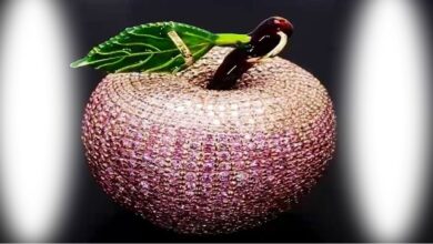 apple worth 10 crore