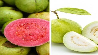 Red vs White Guava