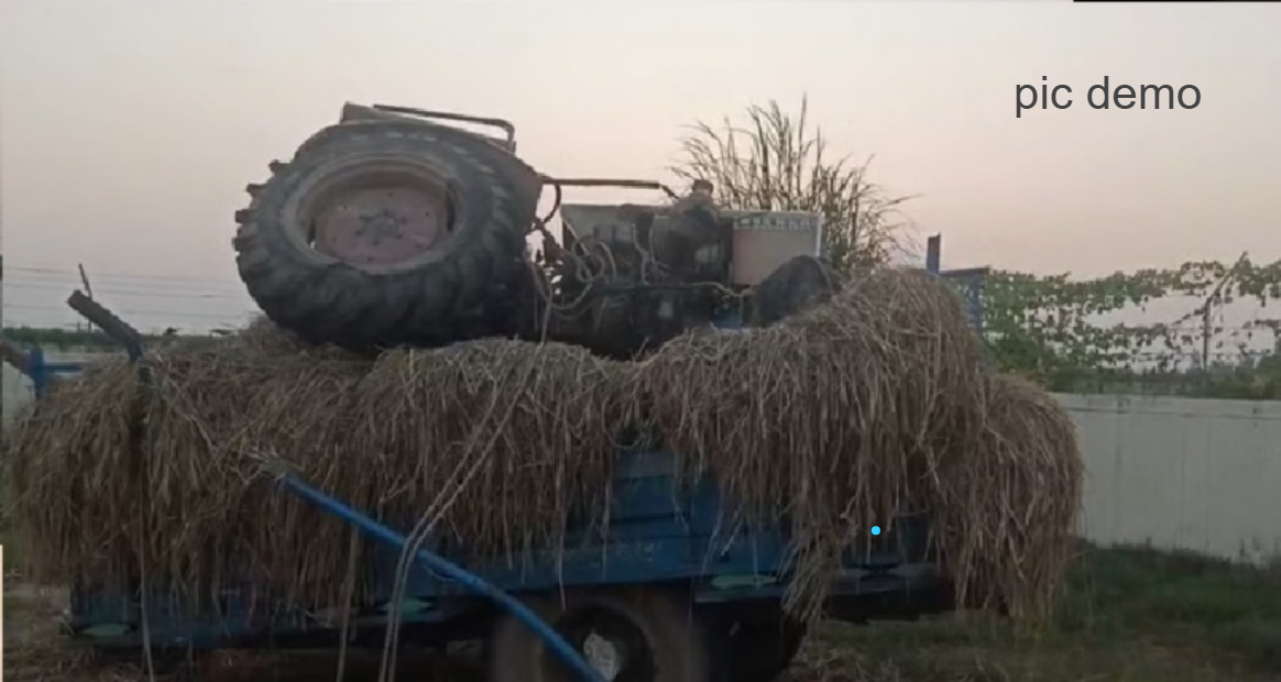 गल्ला मण्डी