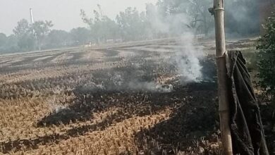 खेतों