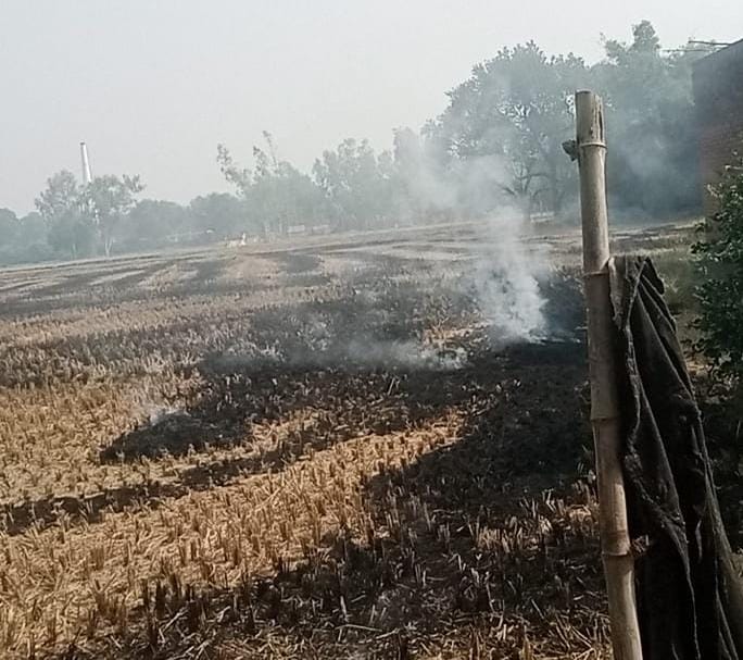 खेतों