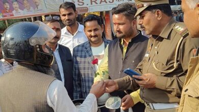 गुलाब का फूल