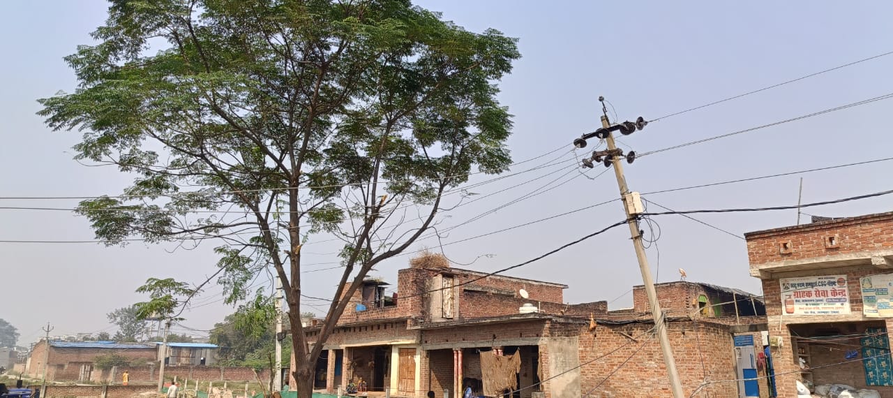 झूलते हाईटेंशन