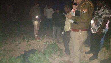 सरसों के खेत में मिला महिला का शव:फैली सनसनी