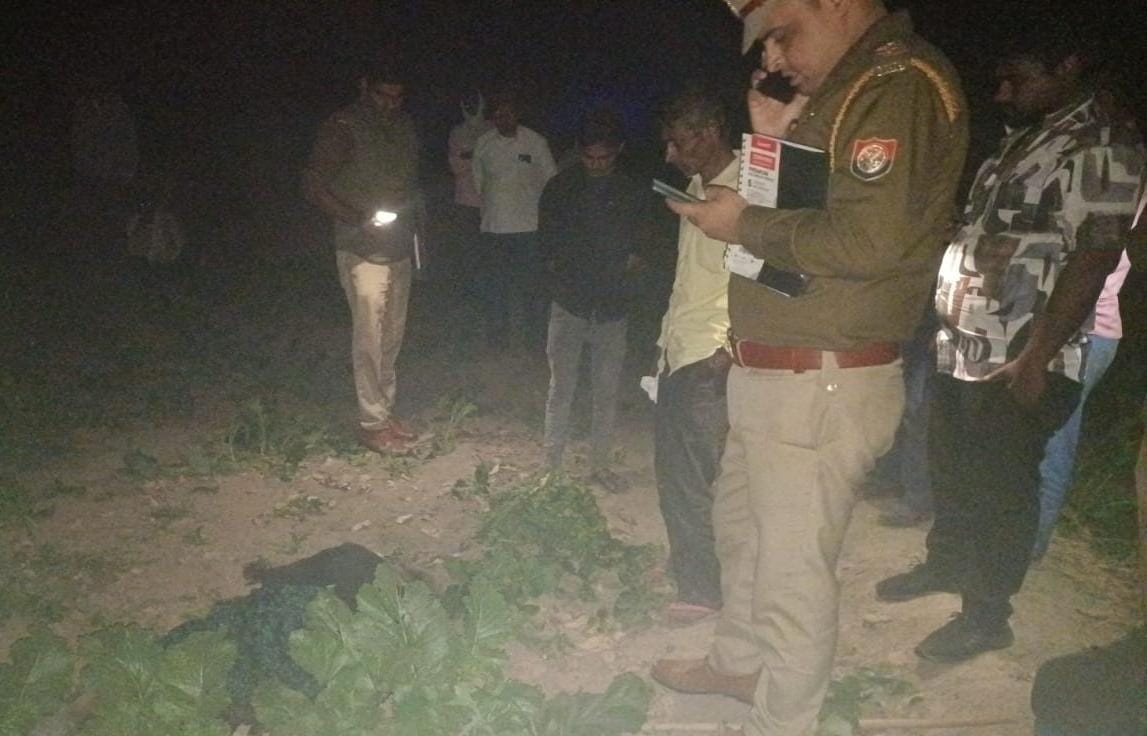 सरसों के खेत में मिला महिला का शव:फैली सनसनी