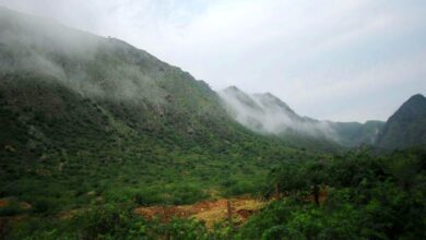 Aravalli Range Issue