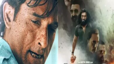dhurandhar movie cast fees