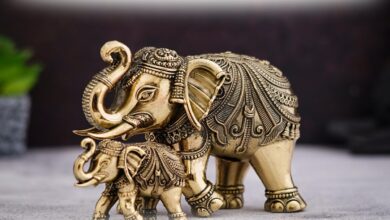 lucky Vastu things