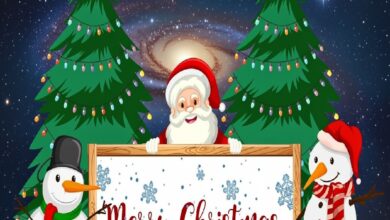 merry christmas status 2025
