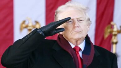 Trump tariff dividend