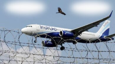 indigo chaos