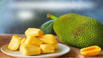 Jackfruit facts in hindi