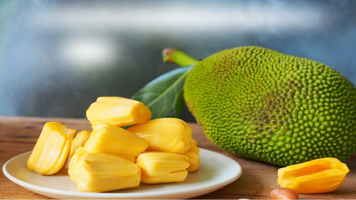 Jackfruit facts in hindi
