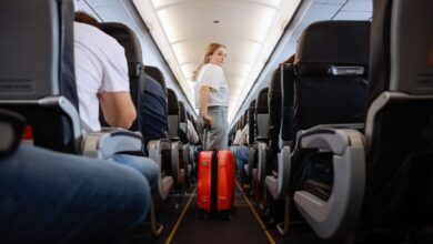 Fruit ban in plane