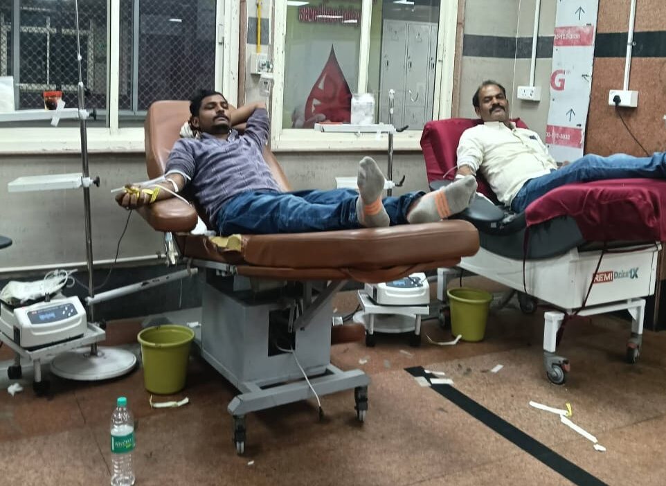 छुट्टा मवेशी से घायल