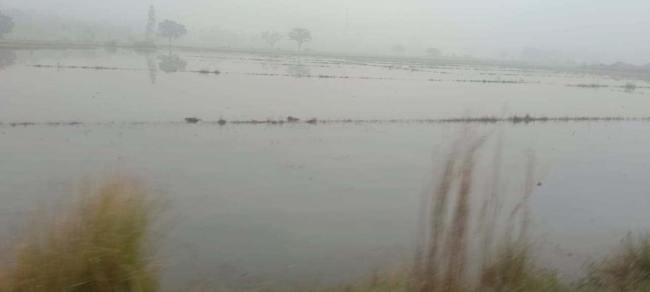 नहर विभाग की लापरवाही