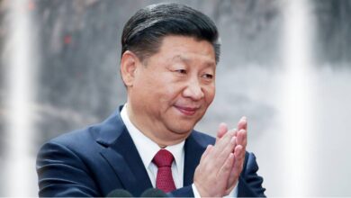 The Gadfly - xi jinping