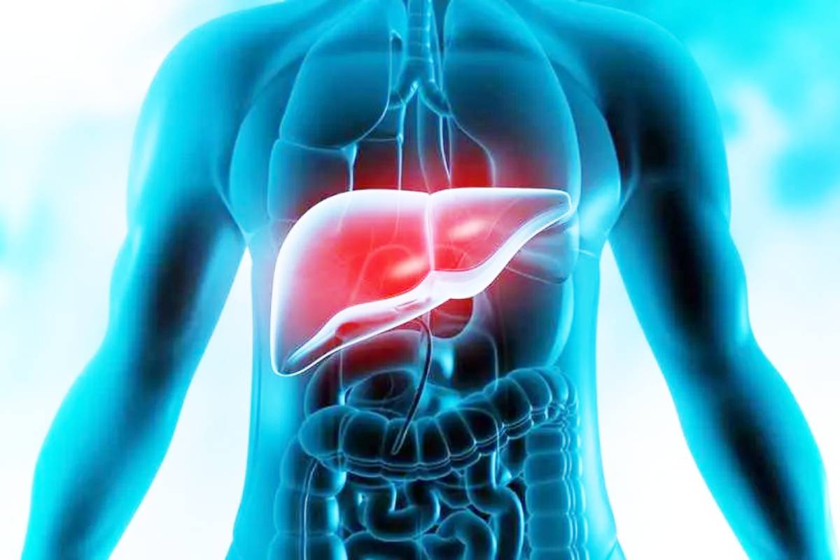 Liver Damage signs