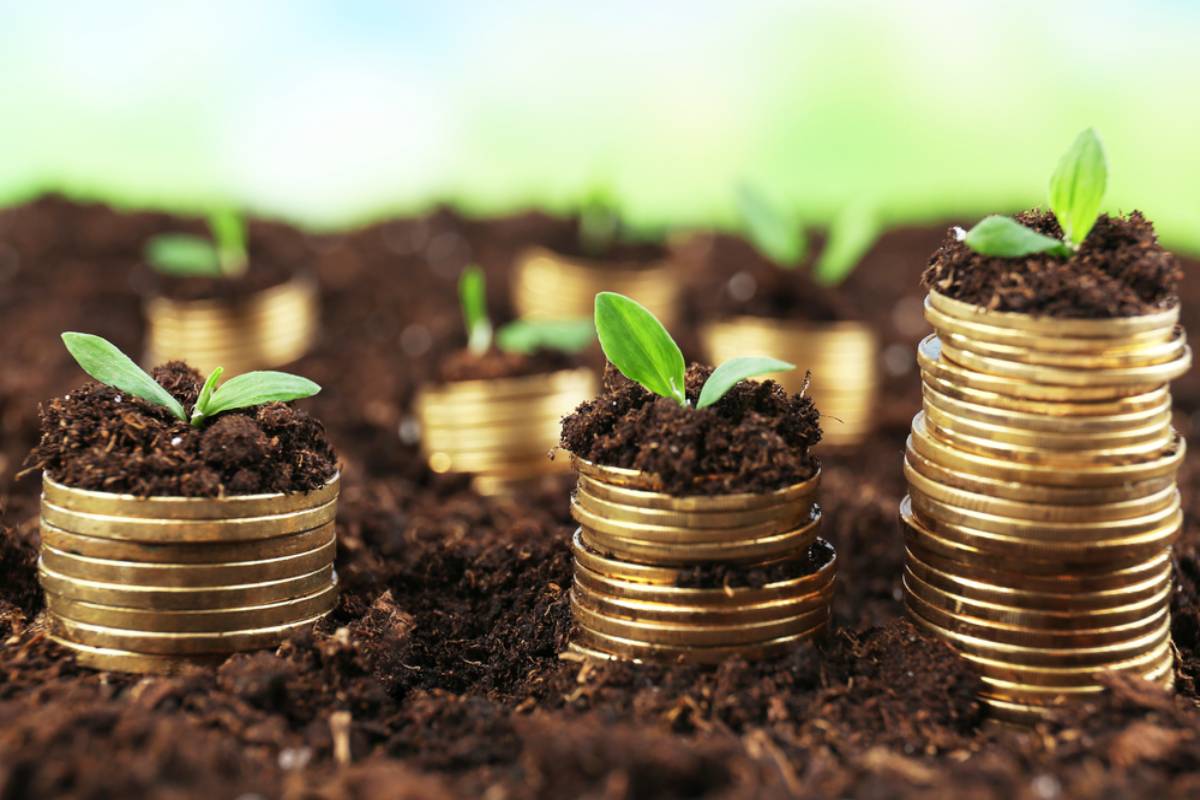 investment rules