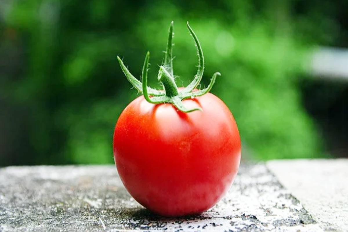 vegetables without tomato