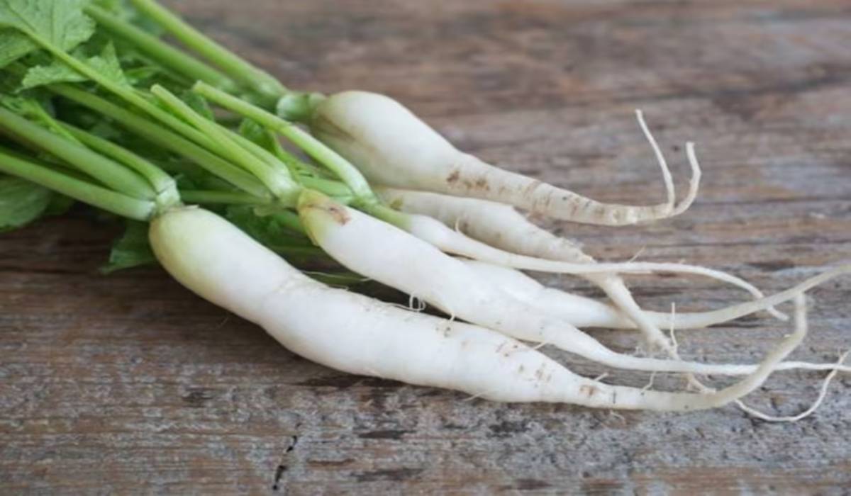 Side Effects of Radish