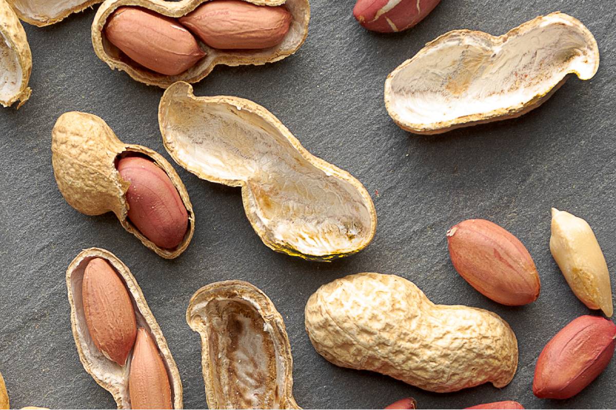 never throw peanut shell
