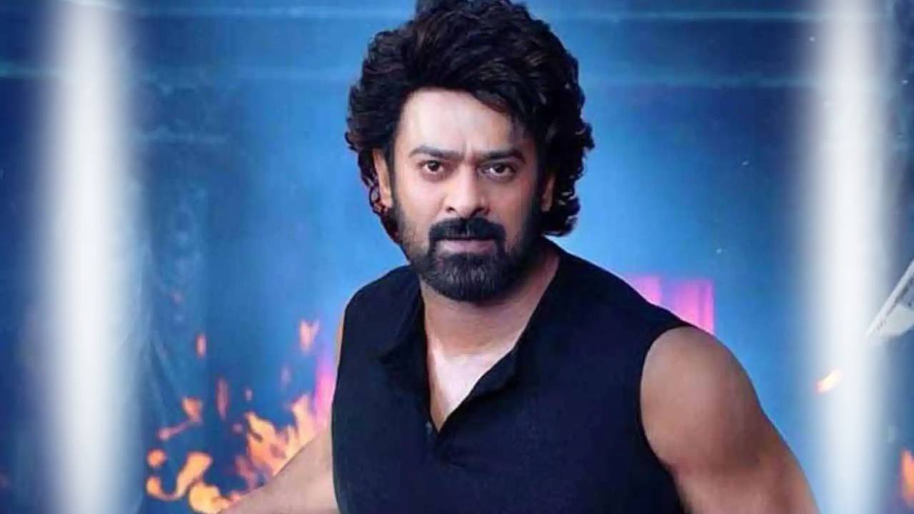 rajasaab review