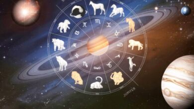 wise zodiac sign