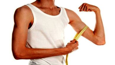 Muscle Gain Foods