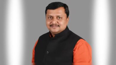 nitin nabin property